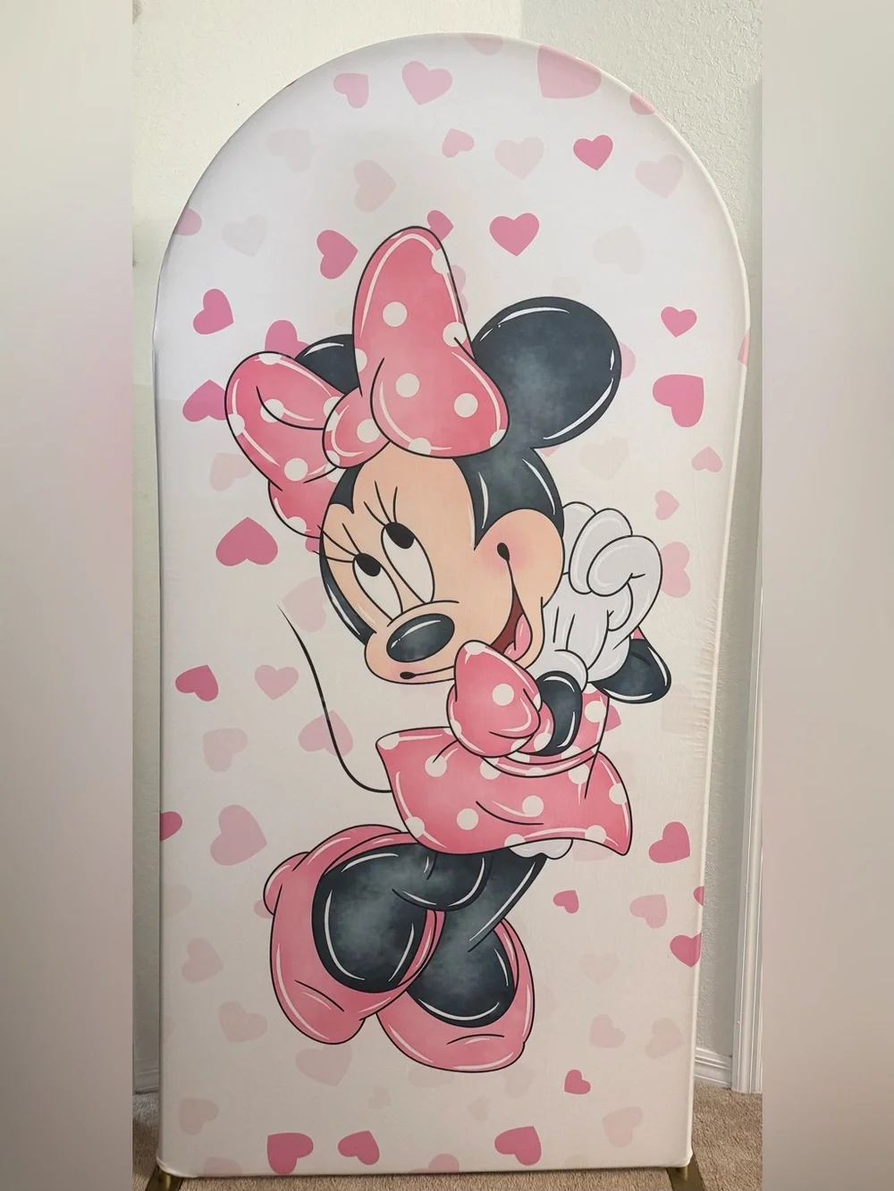 Minnie Mouse Birthday Arch Backdrop Cover (READ DESCRIPTION)